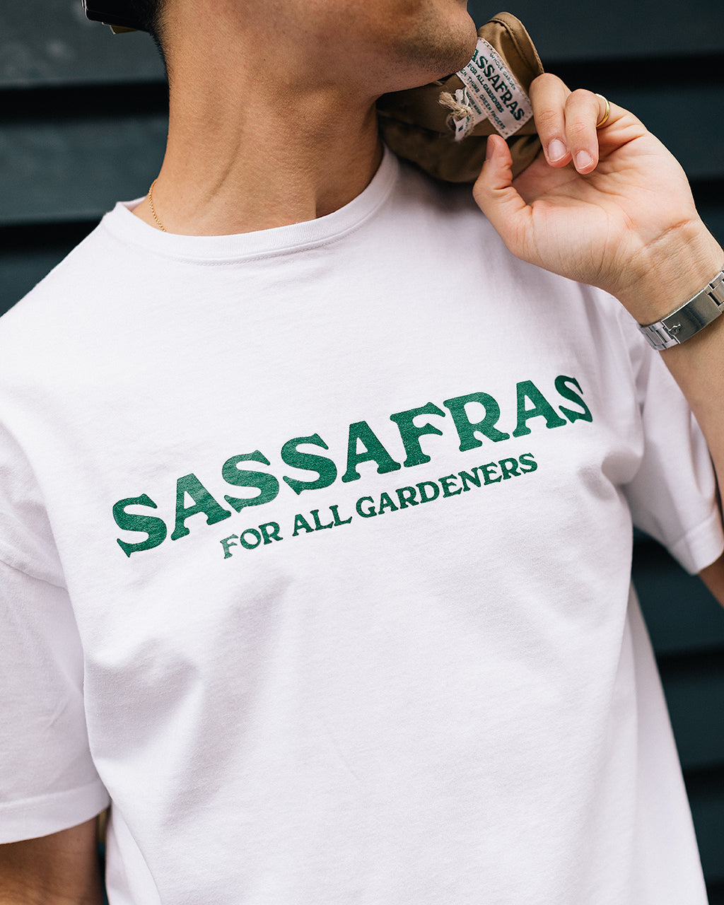 SASSAFRAS - FORM & FUNCTION