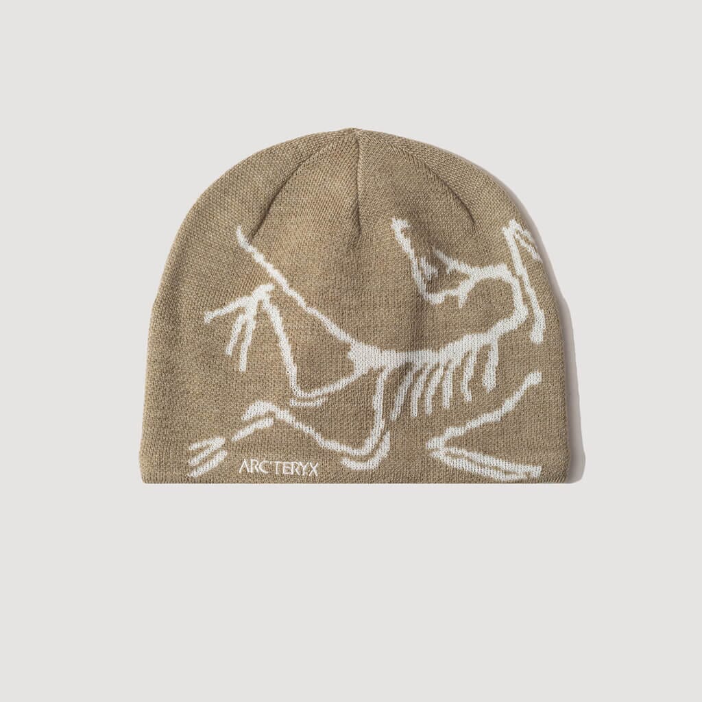 Arcteryx bird hotsell head toque beanie